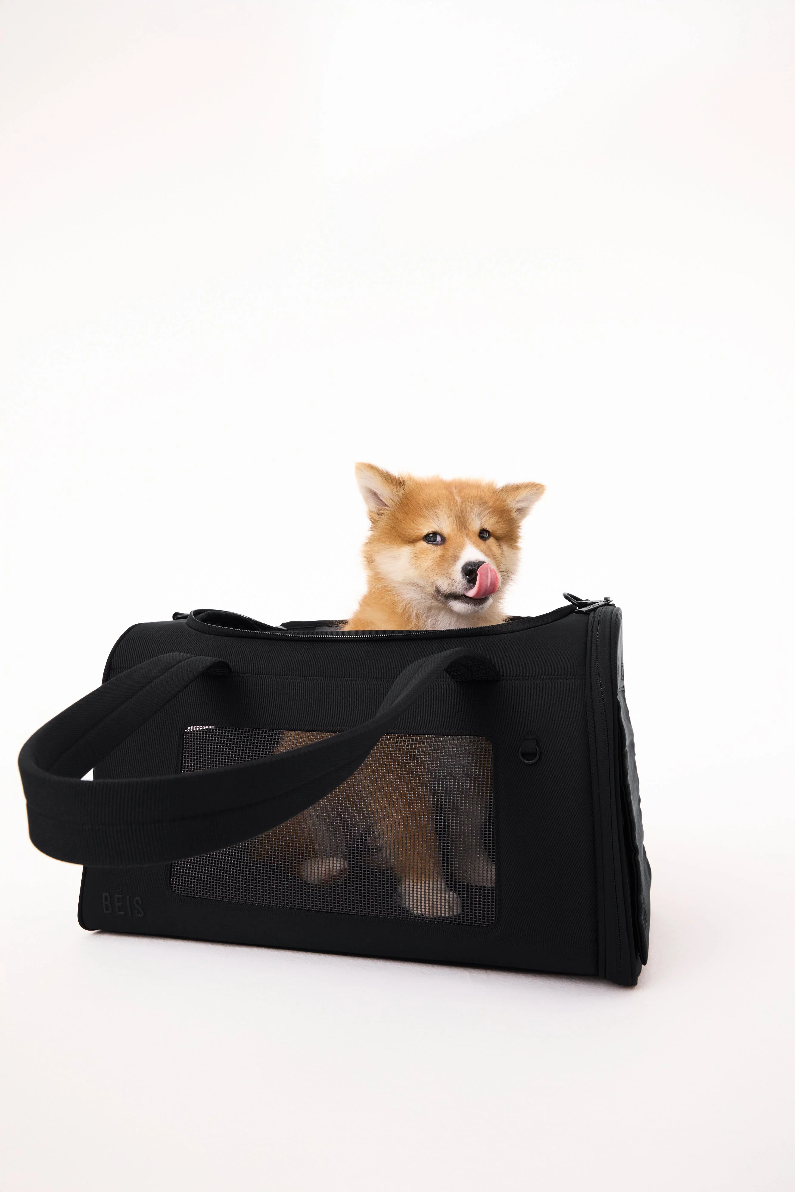 The Pet Carrier in Black - Image 4