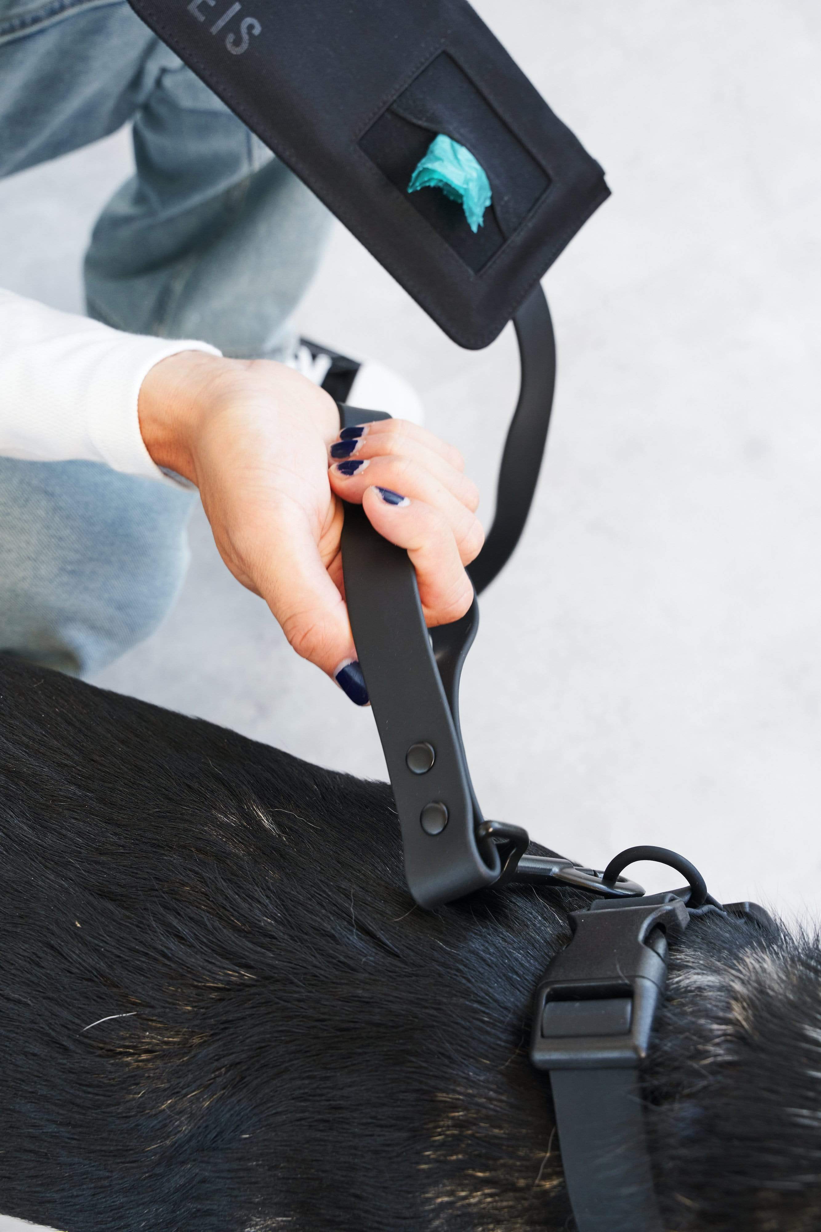 The Pet Leash in M/L - Image 3