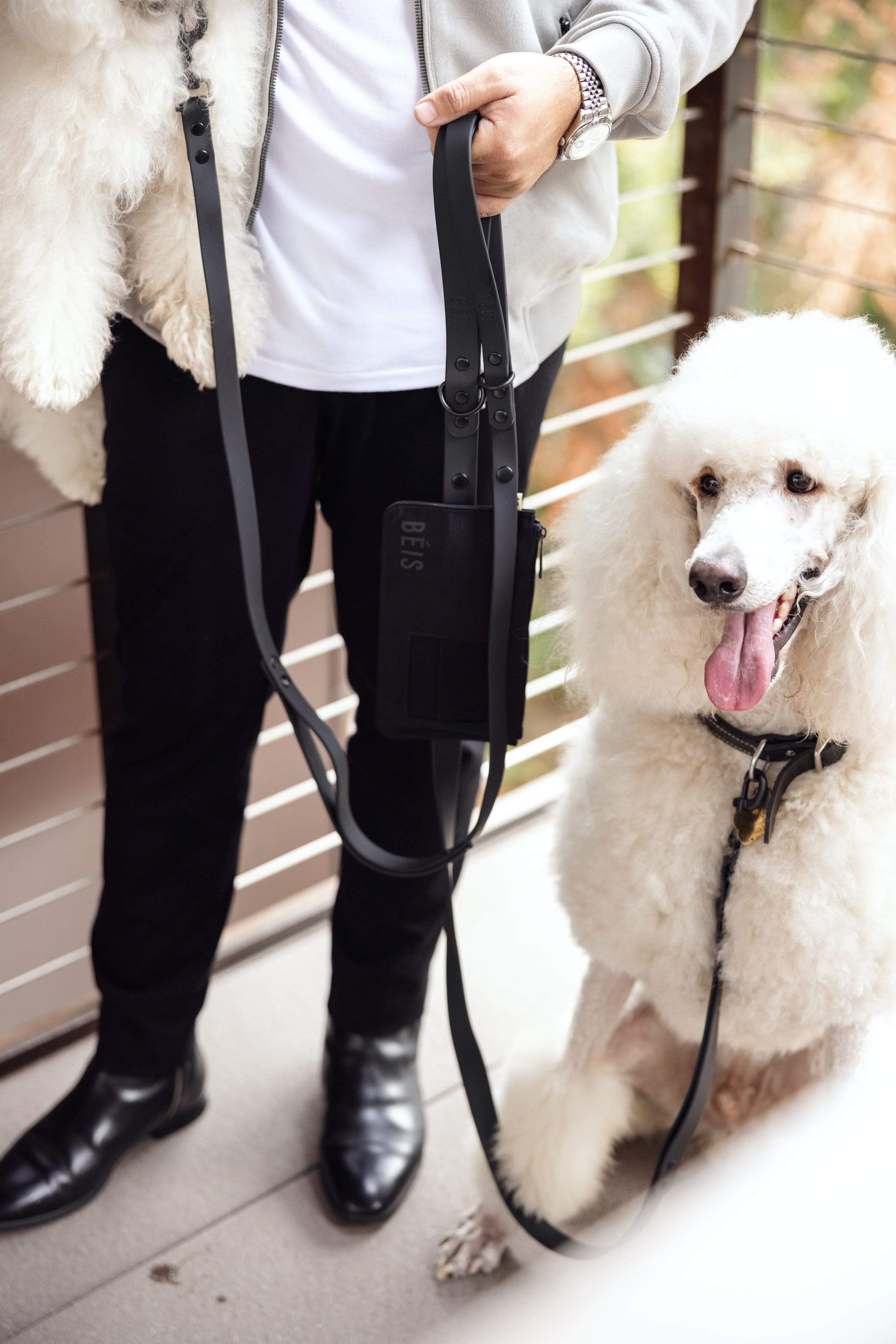 The Pet Leash in M/L - Image 7