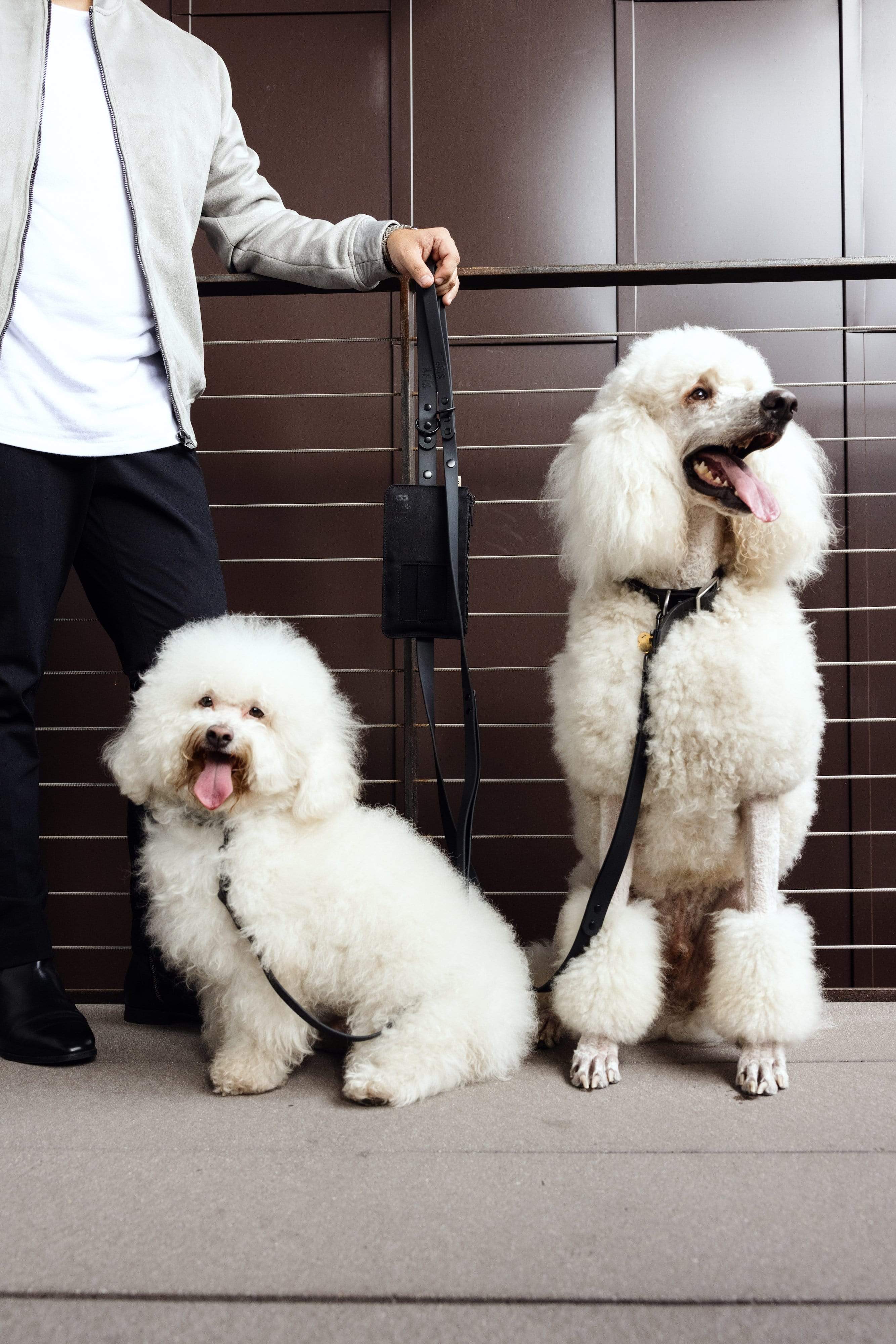 The Pet Leash in M/L - Image 9